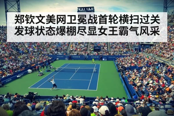 US Open tennis court