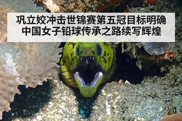 巩立姣冲击世锦赛第五冠目标明确中国女子铅球传承之路续写辉煌